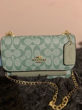 Coach Mint Green Signature Chain Crossbody Bag